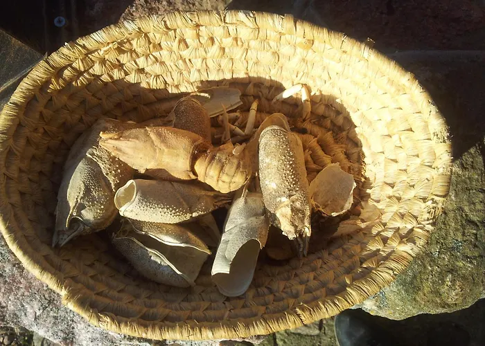 Hosteria Na Mazurach